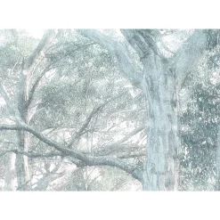 Vlies Fototapete Magic Trees 300x280 cm ^ Komar Clearance