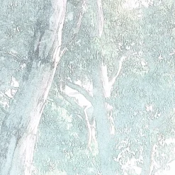 Vlies Fototapete Magic Trees 300x280 cm ^ Komar Clearance
