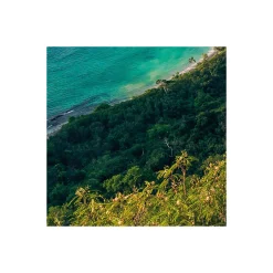 Vlies Fototapete Monkey Island 350x200 cm ^ Komar New