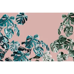 Vlies Fototapete Monstera Rosé 400x250 cm ^ Komar Discount