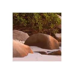 Vlies Fototapete Nature 368x248 cm ^ Komar Discount