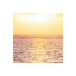 Vlies Fototapete Palmtrees on Beach 200x250 cm ^ Komar Sale