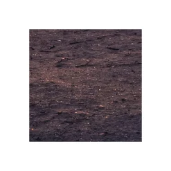 Vlies Fototapete Palmtrees on Beach 200x250 cm ^ Komar Sale