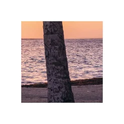 Vlies Fototapete Palmtrees on Beach 200x250 cm ^ Komar Sale