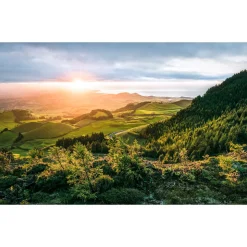 Vlies Fototapete Paradise Island 400x250 cm ^ Komar Online