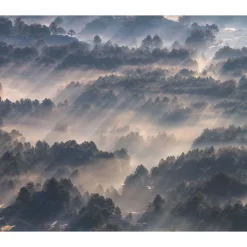 Vlies Fototapete Rays 300x250 cm ^ Komar Discount