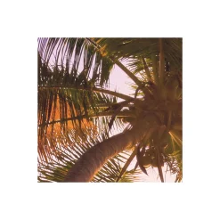 Vlies Fototapete Reaching the Sun 400x250 cm ^ Komar Sale