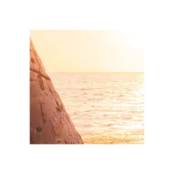 Vlies Fototapete Reaching the Sun 400x250 cm ^ Komar Sale