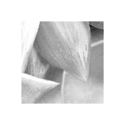 Vlies Fototapete Shades Black and White 400x250 cm ^ Komar Clearance