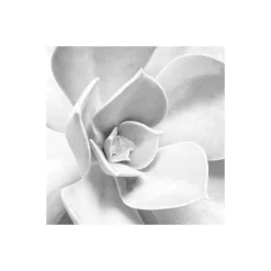 Vlies Fototapete Shades Black and White 400x250 cm ^ Komar Clearance