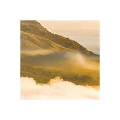 Vlies Fototapete Soul of Light 400x250 cm ^ Komar Online