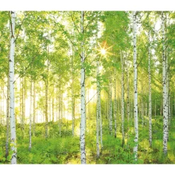 Vlies Fototapete Sunday 300x250 cm ^ Komar Sale
