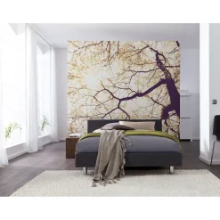 Vlies Fototapete Sunshine 250x250 cm ^ Komar