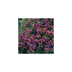 Vlies Fototapete The Blue Bay 200x250 cm ^ Komar Outlet