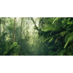 Vlies Fototapete Tropenwelten 500x250 cm ^ Komar Best