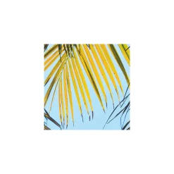 Vlies Fototapete Under The Palmtree 200x250 cm ^ Komar