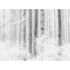 Vlies Fototapete Winter Wood 400x280 cm ^ Komar Sale