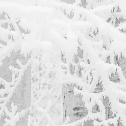 Vlies Fototapete Winter Wood 400x280 cm ^ Komar Sale