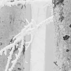 Vlies Fototapete Winter Wood 400x280 cm ^ Komar Sale