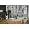 Vlies-Fototapete Woods 4-teilig 368 x 248 cm ^ Komar