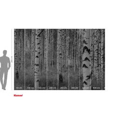 Vlies Fototapete Woods 400x270 cm ^ Komar Online
