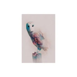 Wandbild Animals Forest Owl 50x70 cm ^ Komar
