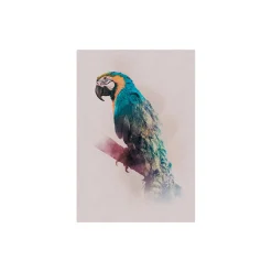 Wandbild Animals Paradise Parrot 50x70 cm ^ Komar