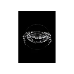 Wandbild Crab Black 50x70 cm ^ Komar Outlet