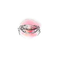 Wandbild Crab Watercolor 50x70 cm ^ Komar New