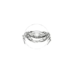 Wandbild Crab White 50x70 cm ^ Komar Discount
