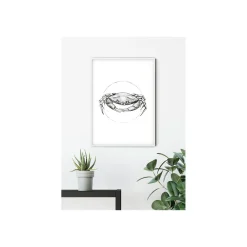 Wandbild Crab White 50x70 cm ^ Komar Discount