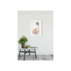 Wandbild Dahlia 50x70 cm ^ Komar Sale