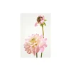 Wandbild Dahlia 40x50 cm ^ Komar Best