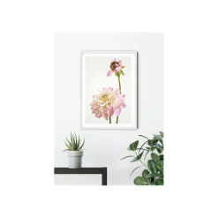 Wandbild Dahlia 40x50 cm ^ Komar Best