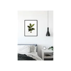 Wandbild Elastica Leaf 50x70 cm ^ Komar
