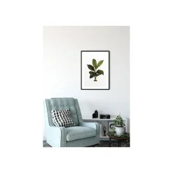 Wandbild Elastica Leaf 50x70 cm ^ Komar