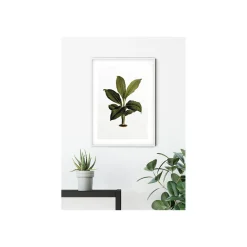 Wandbild Elastica Leaf 50x70 cm ^ Komar