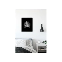 Wandbild Feather Black 50x70 cm ^ Komar Clearance