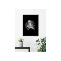Wandbild Feather Black 50x70 cm ^ Komar Clearance