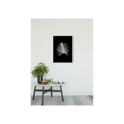 Wandbild Feather Black 50x70 cm ^ Komar Clearance