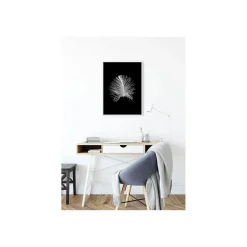 Wandbild Feather Black 50x70 cm ^ Komar Clearance
