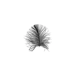 Wandbild Feather White 50x70 cm ^ Komar Best