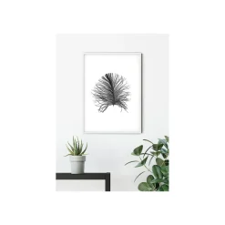 Wandbild Feather White 50x70 cm ^ Komar Best