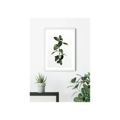 Wandbild Ficus Branch 50x70 cm ^ Komar Online
