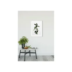 Wandbild Ficus Branch 50x70 cm ^ Komar Online