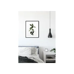 Wandbild Ficus Branch 40x50 cm ^ Komar Outlet