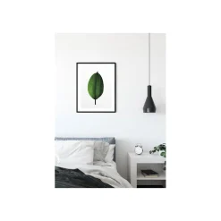 Wandbild Ficus Leaf 50x70 cm ^ Komar Hot