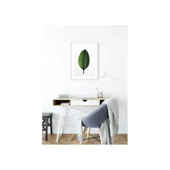 Wandbild Ficus Leaf 50x70 cm ^ Komar Hot