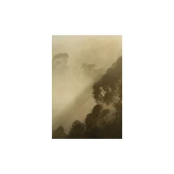 Wandbild Golden Light 50x70 cm ^ Komar Clearance