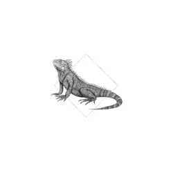 Wandbild Iguana White 50x70 cm ^ Komar Sale